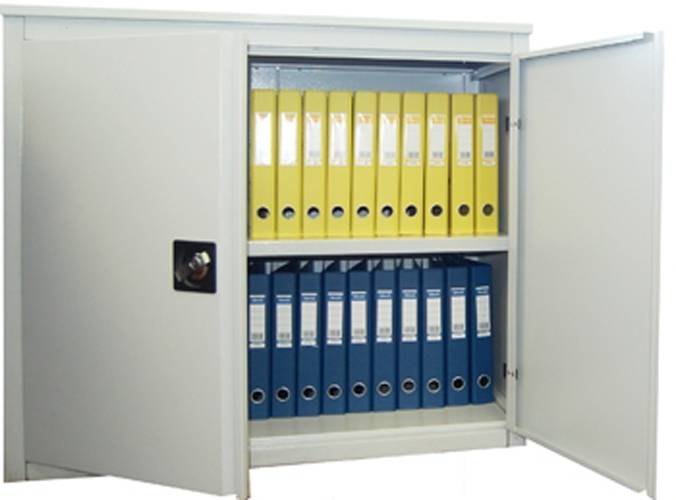 Металлический шкаф архивный ALR-8896 усиленный, 880x960x450 распашной с полкой для документов